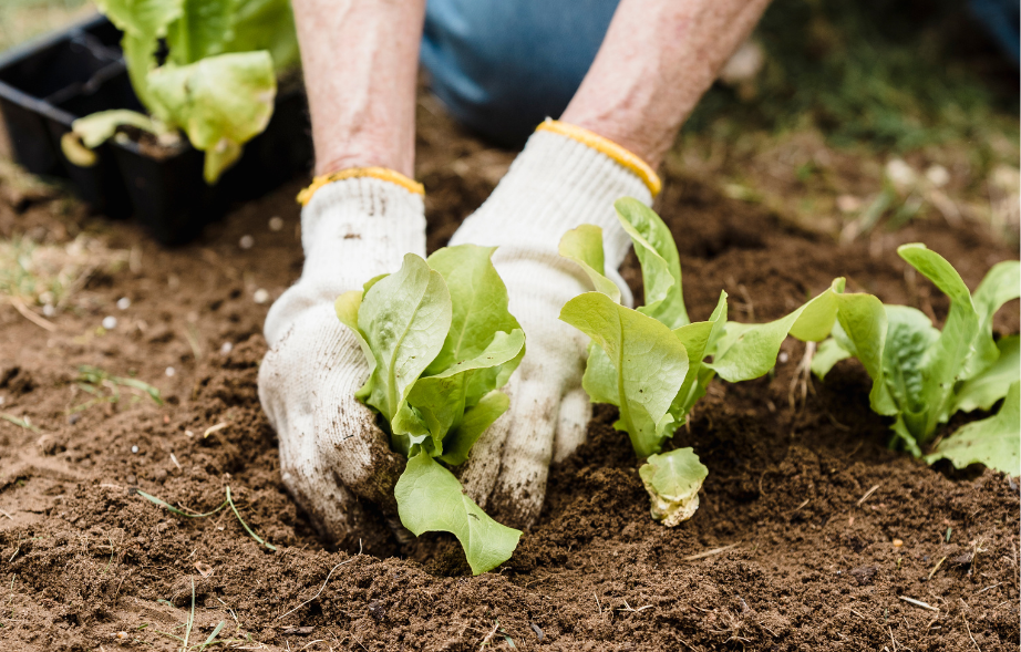 Event - Gardening